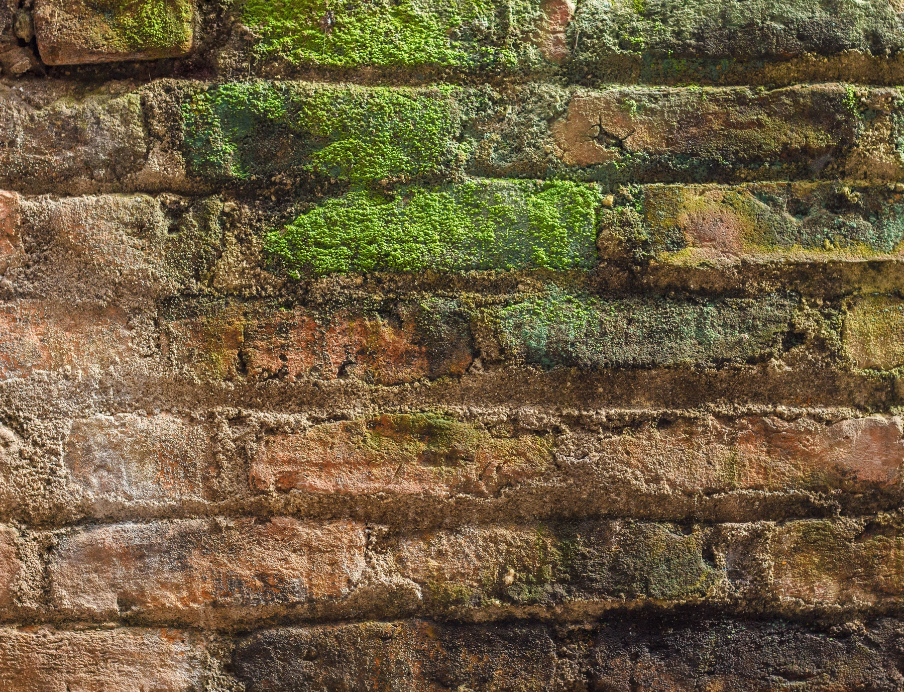 Brick Mossy Wall
